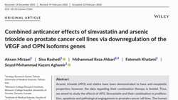 Combined anticancer effects of simvastatin and arsenic trioxide on prostate cancer cell lines via downregulation of the VEGF and OPN isoforms genes